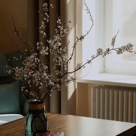 アパート Michalowskiego 11 *